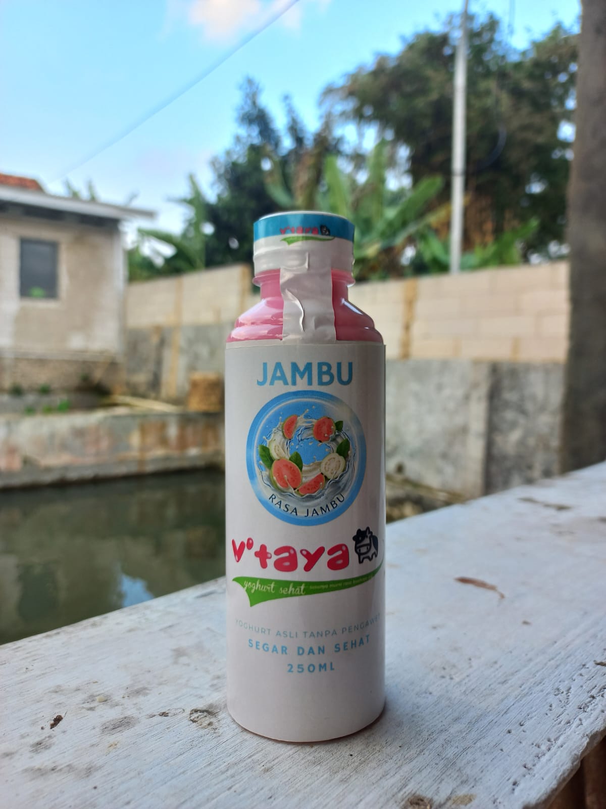 Yoghurt Jambu Botol