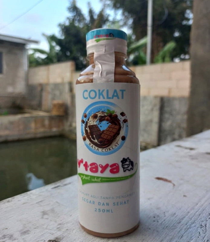 Yoghurt Coklat Botol