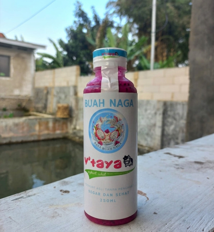 Yoghurt Buah Naga Botol